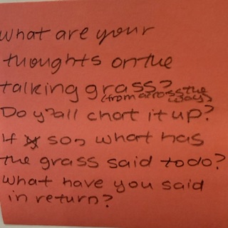what are your thoughts on the talking grass? (the one across the way) Do y'all chat it up? If so, what has the grass said to do? What have you said in return?