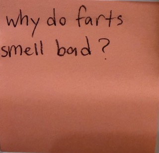 Why do farts smell bad?