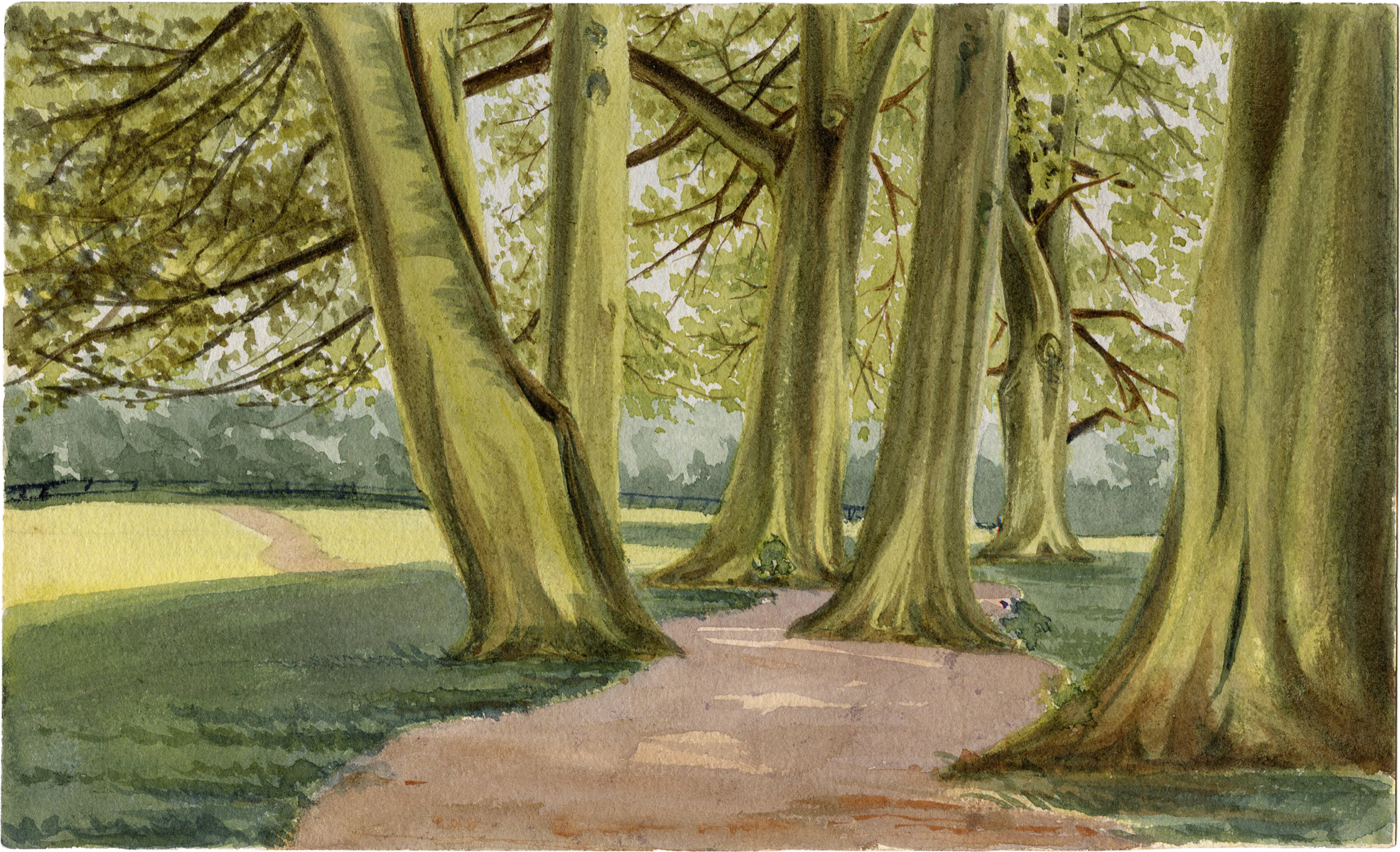 painting of six trees along a path