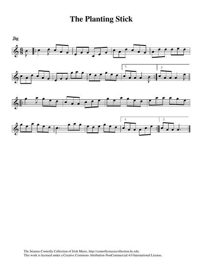 <p dir="ltr"><span>'The Planting Stick' is a variant of the venerable jig 'Bryan O'Lynn', a tune I first learned from my grandmother, Elizabeth Collins (n&eacute;e Rochford). A number of versions of 'Bryan O'Lynn' are to be found in this collection. The tune appears in Patrick W. Joyce's collection </span><em>Ancient Irish Music</em><span> as 'The Planting Stick'. However, the first time I heard the version which Maeve Donnelly plays for us on this track was on a cassette tape recorded in New York in the 1950s, played by an unknown fiddle player. Paddy Canny from Tulla in County Clare was in the company in New York that same evening, and he played yet another version of 'Bryan O'Lynn'. </span></p>
<div><span>&nbsp;</span></div>