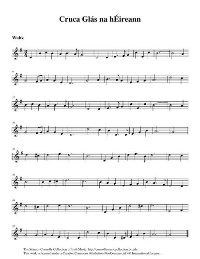 The music lives and breathes in the soul of Tara Lynch. Tara, daughter of Jerry Lynch (accordionist in the 1950s with the celebrated three-time All-Ireland champion Kilfenora C&eacute;il&iacute; Band), was born in New York. She learned her music from her father, and her style is steeped in the tradition of the old Kilfenora Band. The tune she plays on this track was part of the repertoire of the band in the 1960s and '70s, of which I was so honoured to be a member. I am also honoured to have Tara playing it for us: an unbroken link.