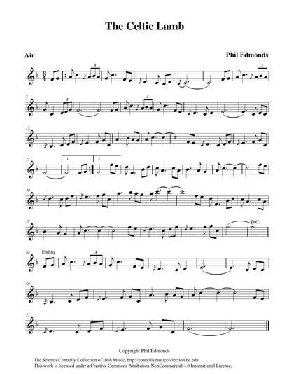 This track comes from the CD <em>To The Dance Floor</em>, released in 2006 by a Rhode Island-based group called The Gnomes. Among its members is Phil Edmonds, the composer of this beautiful tune. Phil and I went to the same school in Killaloe, where we learned to play the tinwhistle, and Phil's father, Eddie Edmonds, was one of my secondary school teachers. The words below are taken from the notes to their CD: <br /><br />'The Celtic Tiger is the term referring to the system of economics and way of life in Ireland for the past several years. While it has resulted in much wealth for many people (not all), the Celtic Tiger is devouring Irish Culture. Wherever money and material possessions become a priority, the quality of life decreases. Phil wrote this air, "The Celtic Lamb", hoping that Ireland, and all of us, will move towards a more sustainable and gentler lifestyle.' <br /><br />It gives me great pleasure to have another Killaloe man associated with this collection. Thanks, Phil, for the tune, and thanks to the rest of the band for their participation in this project.