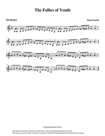 Another young player who contributed to this project is Sean Gavin from Detroit, son of fiddle player and teacher Mick Gavin from Meelick, County Clare. Here Sean plays the flute on one of his own compositions, a strathspey that somehow must have many stories behind its title. He is joined by his musical friend, fiddle player Devin Shepherd.