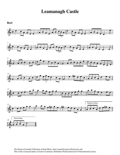 Flute player Frank Neylon had a repertoire of fine tunes associated with his native Kilnaboy in north County Clare. Frank was living in Boston, Massachusetts, when I arrived there from Ireland in the 1970s. He was well-known and respected by all as a gentleman and a fine musician. He made some 78 RPM recordings with the County Kerry fiddle player Paddy Cronin, and he was featured on a long-playing record that I produced of musicians living in and around the Boston area in 1979. I asked Nicole Rabata to learn this reel from Frank's flute playing. For want of the tune's real title, I took the liberty of naming it after a landmark in Frank's home area.