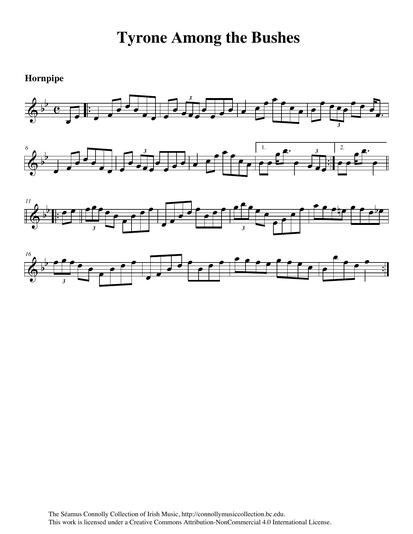 Another tune from the playing of Tom Turkington from County Tyrone. This hornpipe is one of the tunes that he played on my fiddle so long ago at a concert at a Fleadh Cheoil in County Clare. S&eacute;amus Duffy, the traditional singer and adjudicator, introduced Tom that night with the words, 'We'll go up north now to Tyrone Among the Bushes!' I think it makes a great title for this hornpipe, which is played on this track by Kimberley Fraser from Cape Breton. Again, my sincere thanks to Kimberley and to all the musicians who took the time to learn tunes and perform them for this collection. All of you are heroes.