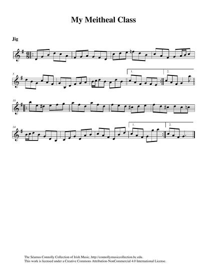 A week-long Irish music school known as Meitheal is held every year in Limerick. The five-day immersion in Irish music is directed by flute player Garry Shannon. As a teacher at the summer school, I had an assignment to work with a group of students who were interested in learning how to make up tunes. The music of composers Liz Carroll, Josephine Keegan, and Phil Cunningham from Scotland were used as examples. Students were asked to study the approach and methods used by these well-known composers. 'I'm not too sure where this is going to go', I said to myself. 'Music, I believe, happens when one is least thinking about it." However, after much listening, discussion, agreement, and collaborating, the students composed this tune. A talented group of young musicians &ndash; concertina players, accordionists, and other instruments all performing together &ndash; a wonderful sight to hear and behold! I have no fear for the future of Irish music. Nicole Rabata, a young flute player from Portland, Maine, joins me on this track. Listen and enjoy.