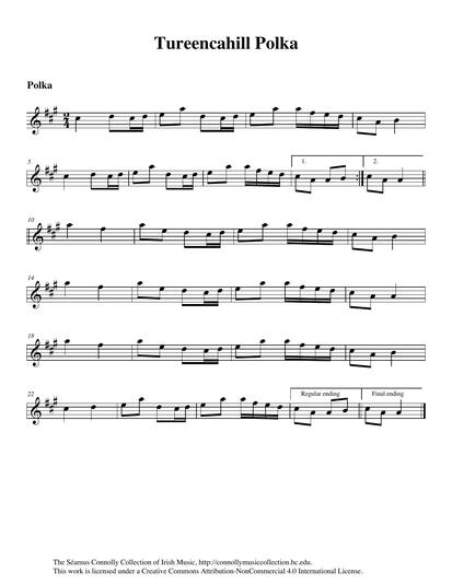 Another track from fiddle player M&aacute;ire O'Keeffe. Her title for this tune refers to an area near Rathmore, County Kerry, famous for its music. M&aacute;ire learned this polka from Sonny Riordan.