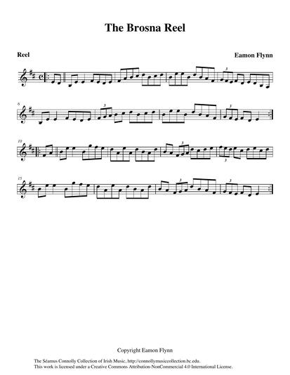 This reel is another composition of Eamon Flynn, taken from his CD recording with permission. It is named for the village of Brosna in County Kerry, a place well-known for great Irish music and whose name has been given to a number of tunes including 'The Brosna Slide'.