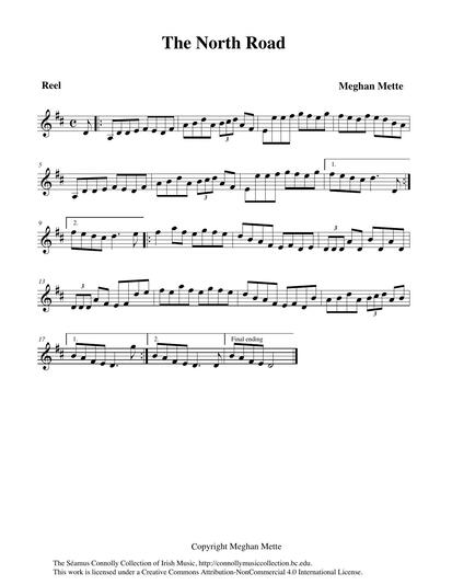 My young friend Meghan Mette composed this reel. I was delighted that she asked me to play it with her, along with Nicole Rabata on flute and Kevin McElroy on mandolin. She tells us how the tune came about: <br /><br />'I wrote this tune for S&eacute;amus first and foremost as a "thank you" for all of the musical wisdom he has imparted to me. However, it is also a tale of the many afternoons spent in S&eacute;amus' music room, learning, listening, playing... Some days we just sat and listened to old albums on the wonderful sound system, the notes vibrating through the varnished floorboards and bouncing off the walls... <br /><br />My favourite afternoons, however, were when it was just the two of us, sitting side by side, playing tunes for the fun of it; maybe S&eacute;amus would think of a special ornament he wanted to show me or a specific tune that was fun to play in a different key. I often enjoyed just sitting back and observing S&eacute;amus when he went on a rant of tunes. I was, and still am, mesmerised by the fluidity and grace of his fingers as they tickle the fingerboard, his bow flying over the strings, his mind at obvious peace. These are my favourite images, frozen in time, S&eacute;amus in another world entirely, just playing because he loves it so. When I play "The North Road", it reminds me of these moments...'<br /><br /><br />