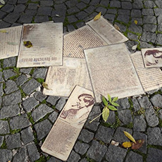 Scattered literature across a stone path