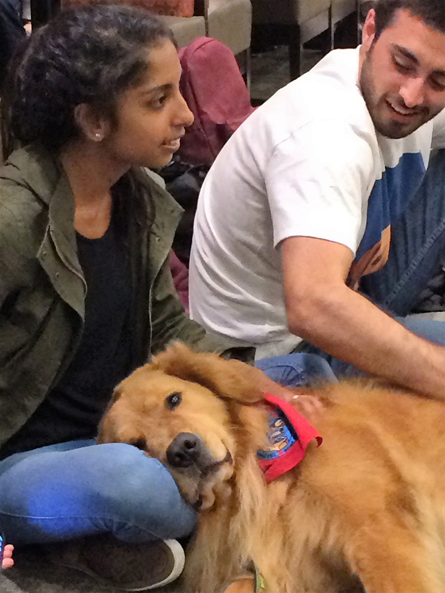 Two students absorb relaxing vibes from Jackson, a therapy dog.