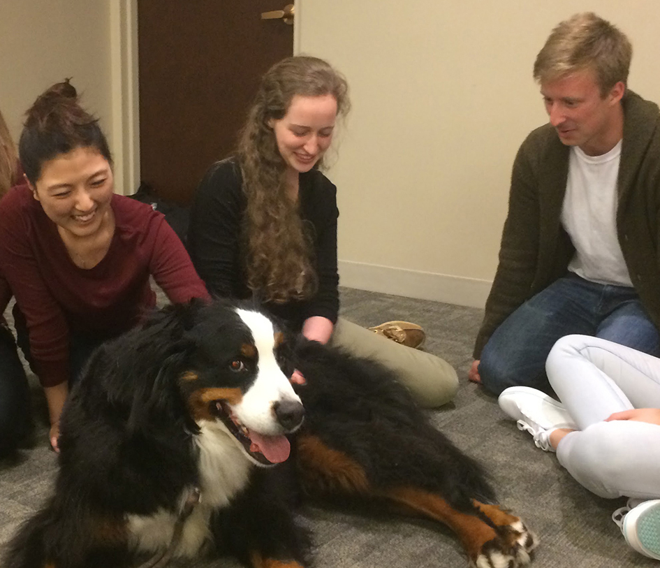 students gathered around a dog, petting it