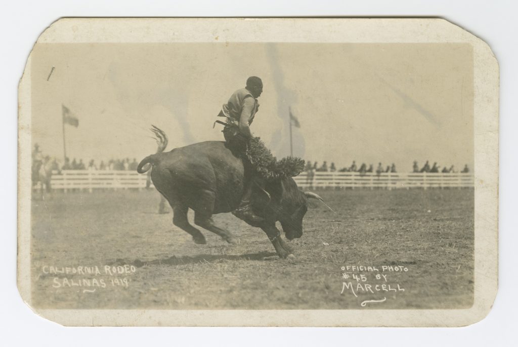 This aged, yellowed photo postcard features an image of an African American man riding a bull. The man and bull are in the center of the postcard with onlookers standing behind the fence in the distance. The man is wearing fur chaps, cowboy boots, a long sleeve shirt and a vest. The bull's hind legs are off of the ground. The bottom left corner contains text that reads “California Rodeo/Salinas 1919”. Text on the bottom right reads “Official Photo / #45 by / MARCELL.