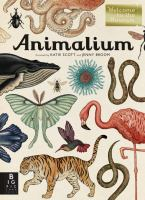 Book cover: a hodgepodge of colorful hand-drawn animals and insects surround the title: Animalium