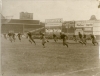 Boston College at Fenway poster